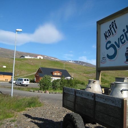 Daeli Guesthouse Víðidalstunga Exteriör bild