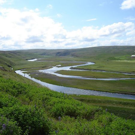 Daeli Guesthouse Víðidalstunga Exteriör bild
