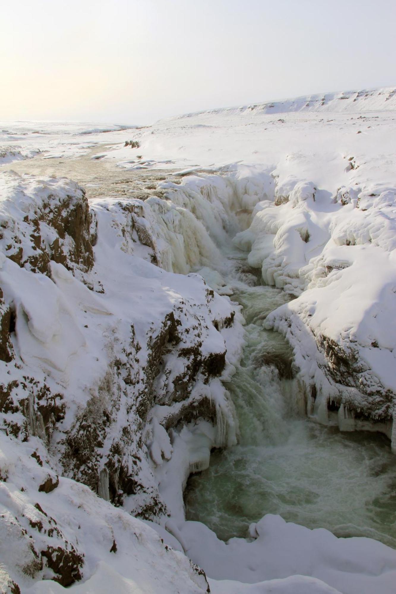 Daeli Guesthouse Víðidalstunga Exteriör bild